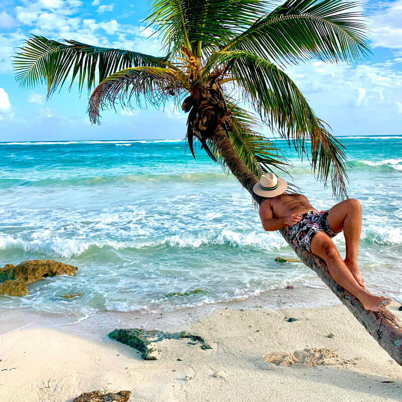 Akumal Turtle Snorkel & Cenote Tour — Swim with Sea Turtles in Tulum - Image 2